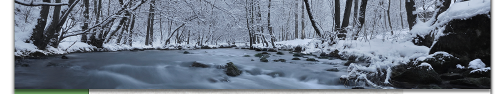 Winter Stream