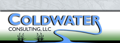 coldwater consulting